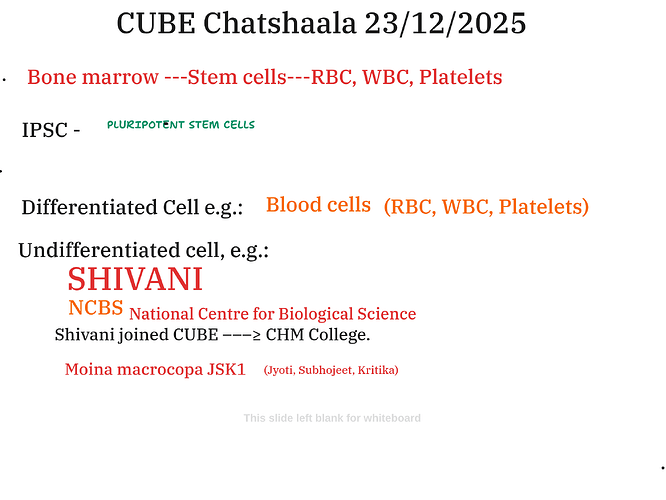 Presentation__2025-12-23T16_04_38.569Z