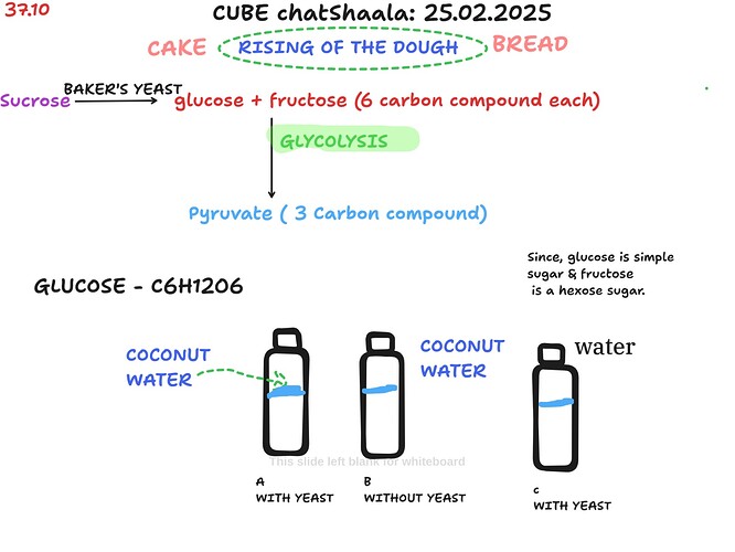 688504ef-3dad-4075-926b-f2b18f10aeda