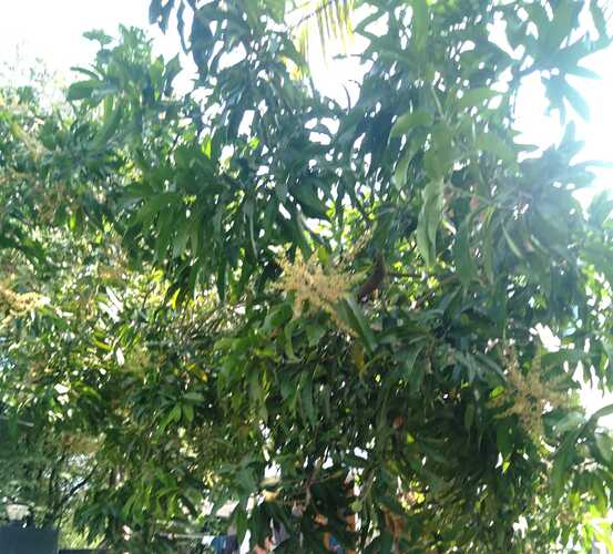IMG-20250114-WA0102