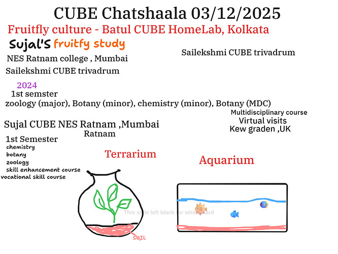 Presentation__2025-12-03T15_27_48.327Z