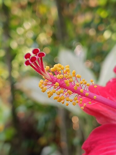 IMG-20250318-WA0030(1)