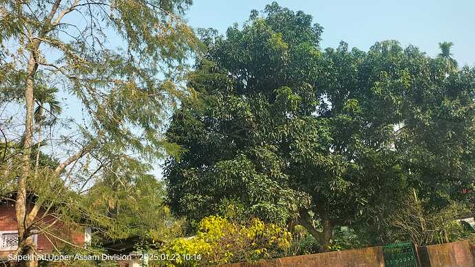 IMG-20250122-WA0018