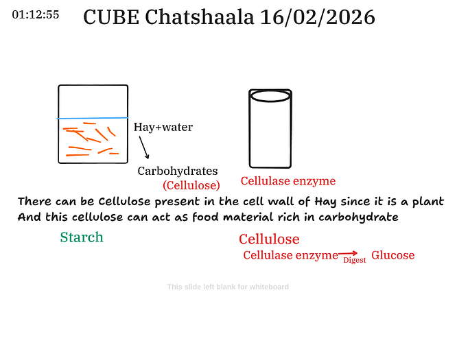 Presentation__2026-02-16T15_46_33.000Z