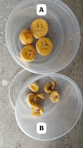 IMG-20250126-WA0184