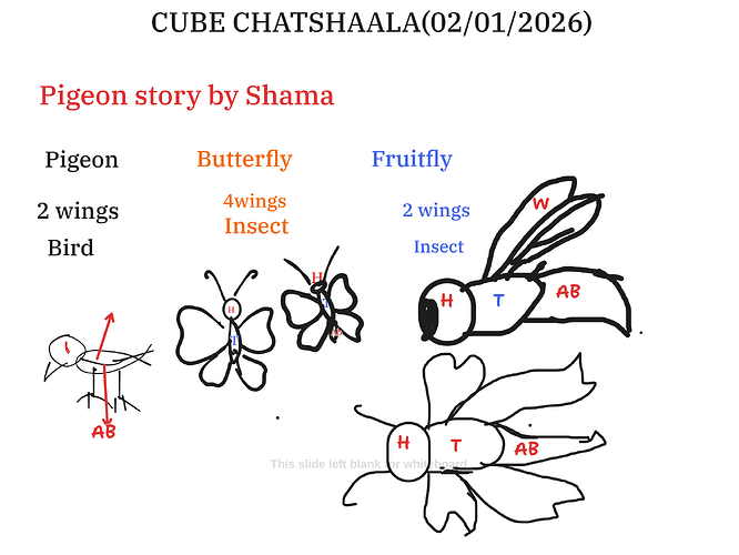 Presentation__2026-01-02T15_49_40.226Z