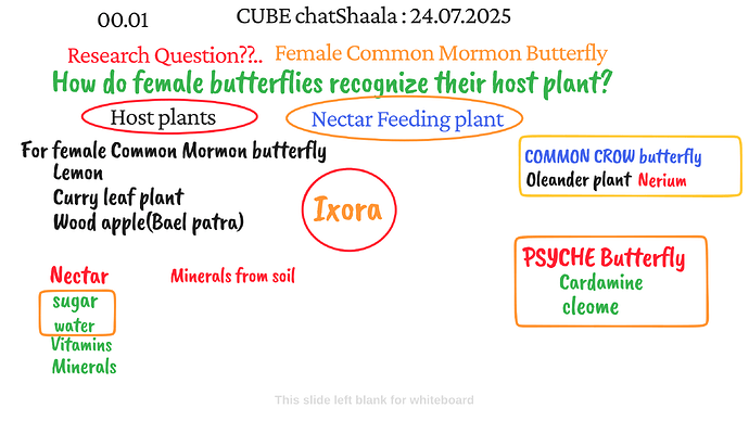 Presentation_CUBE chatShaala_2025-07-24T16_07_10.688Z