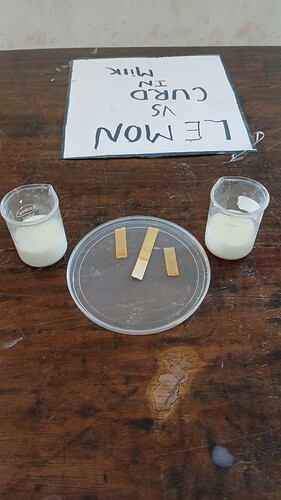 3d80f17a-3553-4ab2-b7e7-21c96d620b05