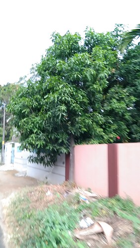 IMG-20250119-WA0030
