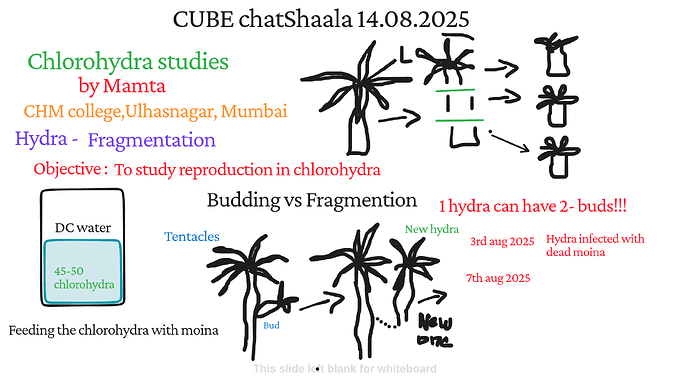 Presentation_CUBE chatShaala_2025-08-14T15_59_55.129Z