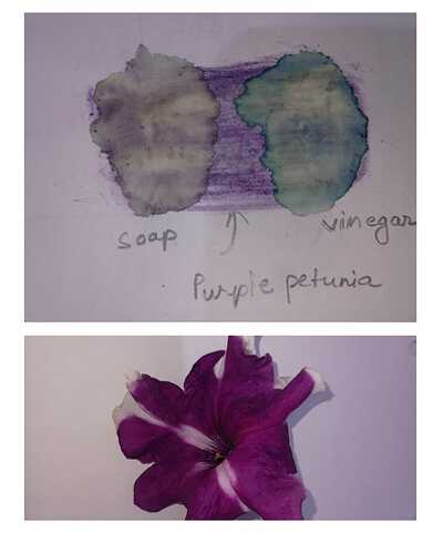 IMG-20250330-WA0022