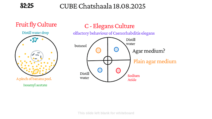 Presentation_CUBE chatShaala_2025-08-18T16_04_17.687Z