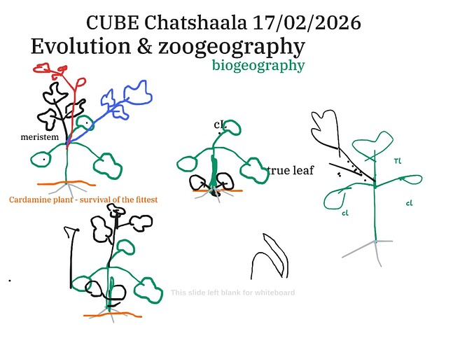 c786e899-1afa-45e7-baa3-444ad3e32aa2