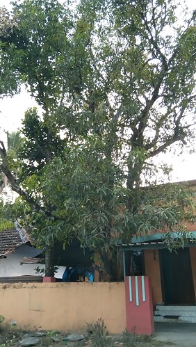 IMG-20250118-WA0038