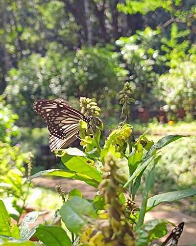 Picsart_25-11-07_18-48-00-729