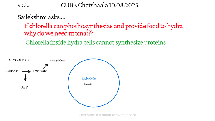 Presentation_CUBE chatShaala_2025-08-11T16_08_02.461Z