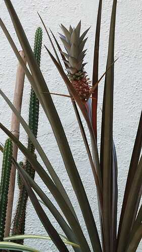 IMG-20250409-WA0028