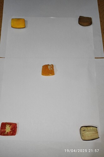 IMG-20250421-WA0006
