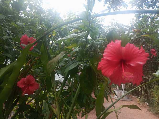 IMG-20250310-WA0031