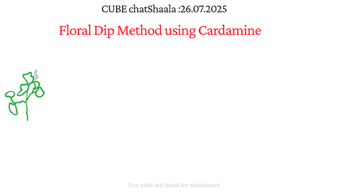 Presentation_CUBE chatShaala_2025-07-26T16_06_40.137Z