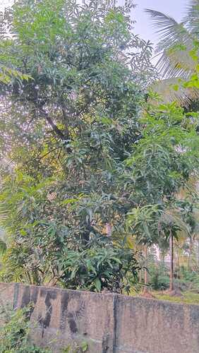 IMG-20250109-WA0121