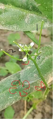 cf9bc58b-280d-4067-a21a-89b99012588a