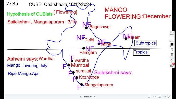 WhatsApp Image 2024-12-16 at 9.33.26 PM