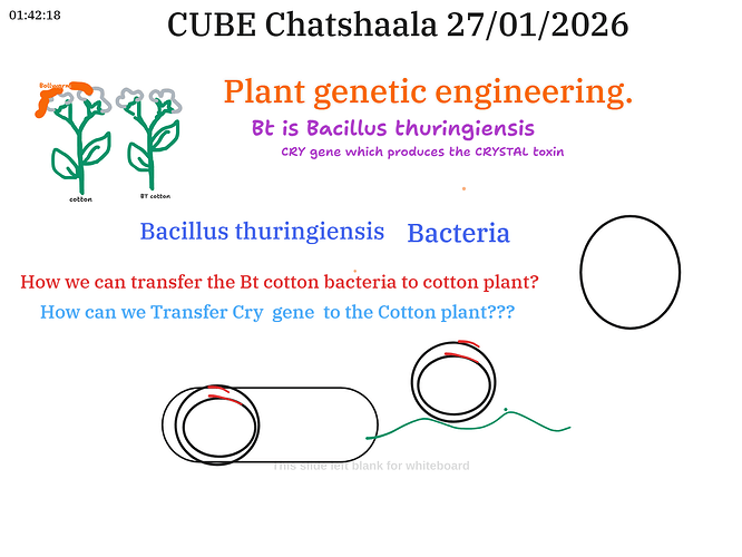 Presentation__2026-01-27T16_05_07.794Z