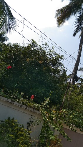 IMG-20250120-WA0068