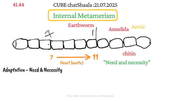 Presentation_CUBE chatShaala_2025-07-21T16_03_59.014Z