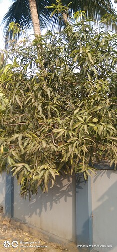IMG-20250108-WA0069