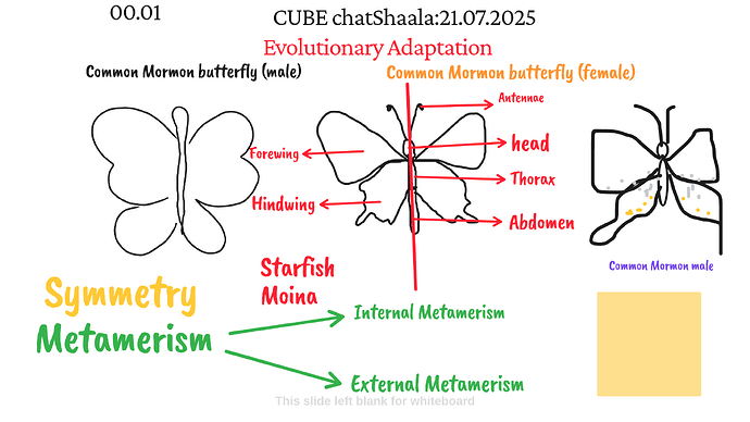Presentation_CUBE chatShaala_2025-07-21T16_03_53.397Z