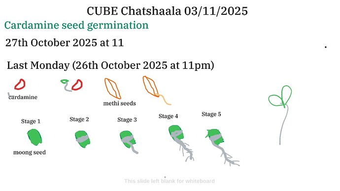 c14091de-2863-411a-88af-e53f4a38411b