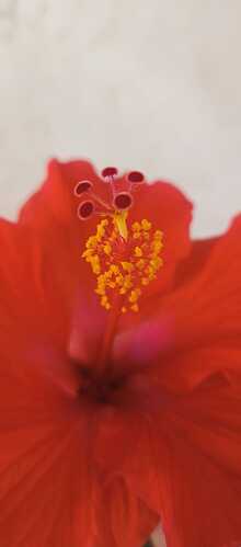 IMG-20250318-WA0003