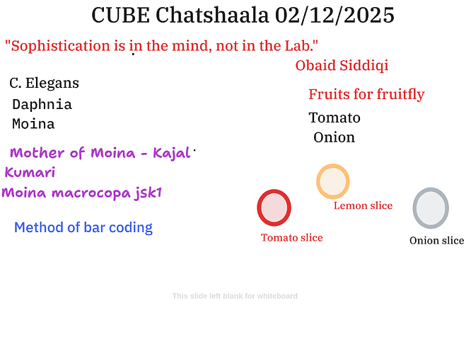 Presentation__2025-12-02T14_56_04.488Z