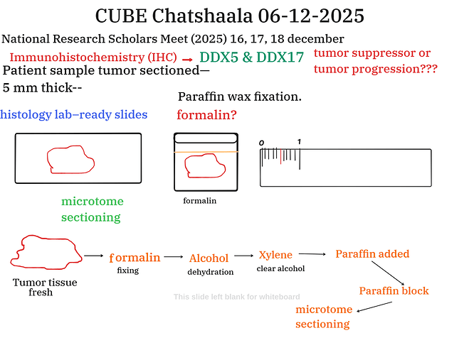 Presentation__2025-12-06T15_45_38.634Z