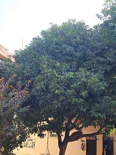 IMG-20250120-WA0028