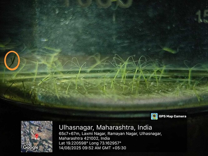 Presentation_CUBE chatShaala_2025-08-14T16_00_40.645Z