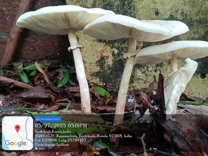 IMG-20250527-WA0064