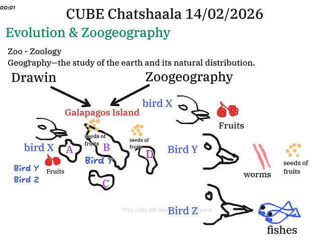 Presentation__2026-02-14T15_55_11.779Z