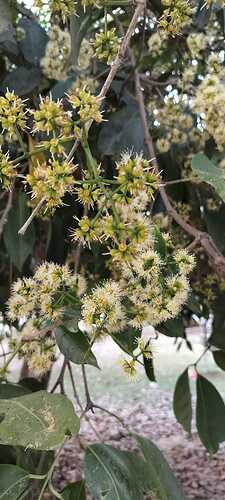 IMG-20250404-WA0059