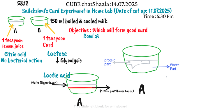 Presentation_CUBE chatShaala_2025-07-14T16_07_28.136Z