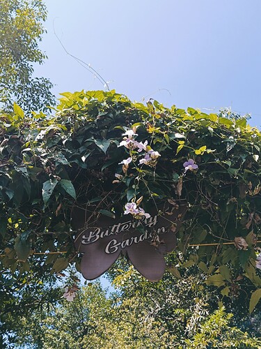 Picsart_25-11-07_18-50-54-823