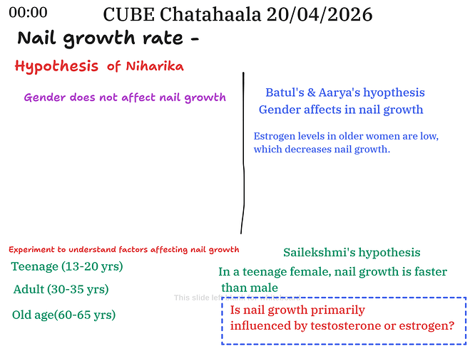 Presentation__2026-04-20T16_03_36.178Z