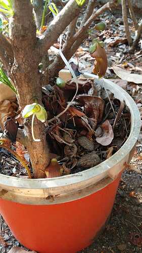 IMG-20250409-WA0057