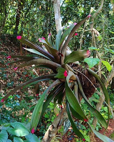 Picsart_25-11-07_18-51-37-992