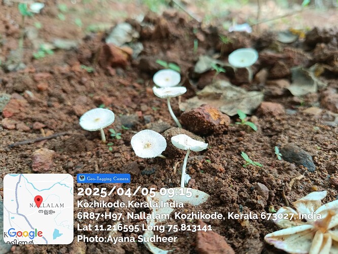 20250405_91511AM