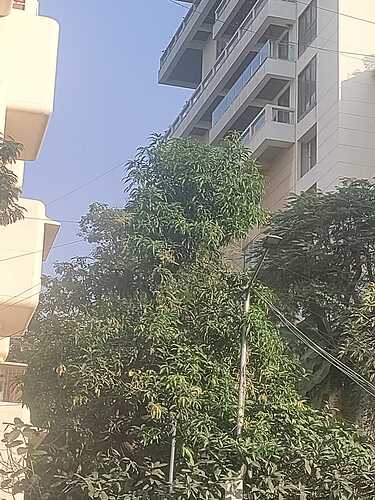 WhatsApp Image 2024-11-14 at 6.53.06 PM