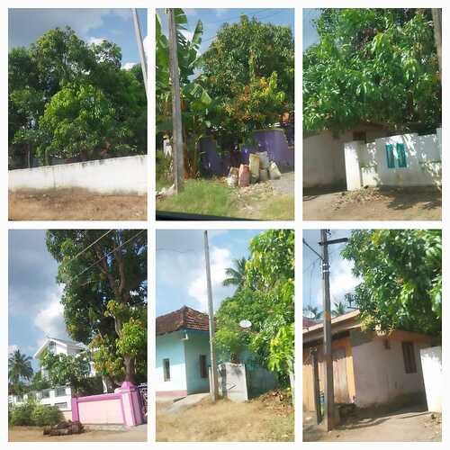 WhatsApp Image 2024-11-24 at 10.01.12 AM