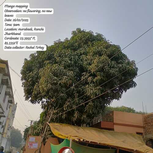 IMG-20250117-WA0130
