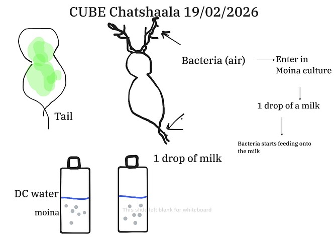 a2c40977-f82b-4e1b-b957-a877164e709c